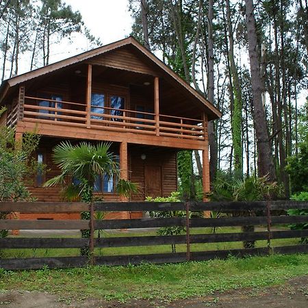 Green Cottage Shekvetili Ureki Esterno foto