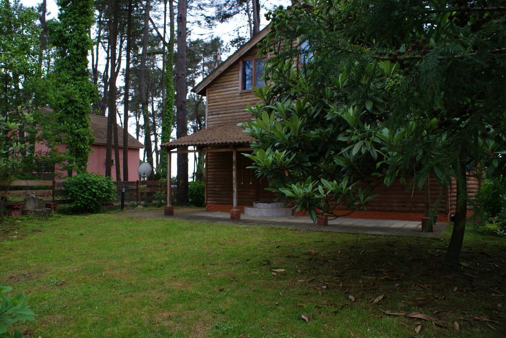 Green Cottage Shekvetili Ureki Esterno foto