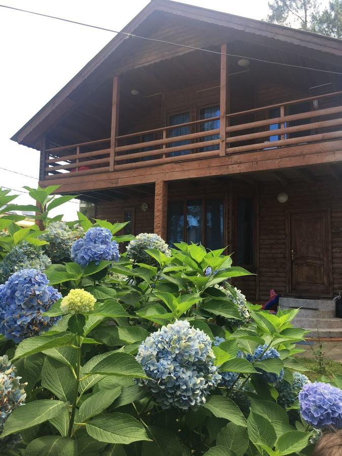 Green Cottage Shekvetili Ureki Esterno foto